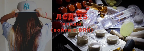 амф Арсеньев