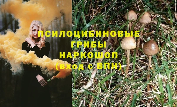 амф Арсеньев