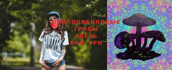 Альфа ПВП Аркадак