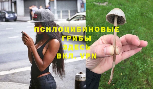 Альфа ПВП Аркадак