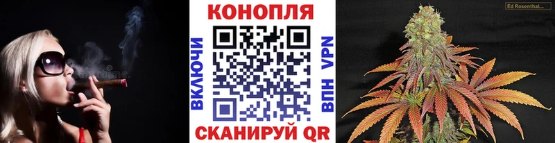 МАРИХУАНА план  Пыталово 